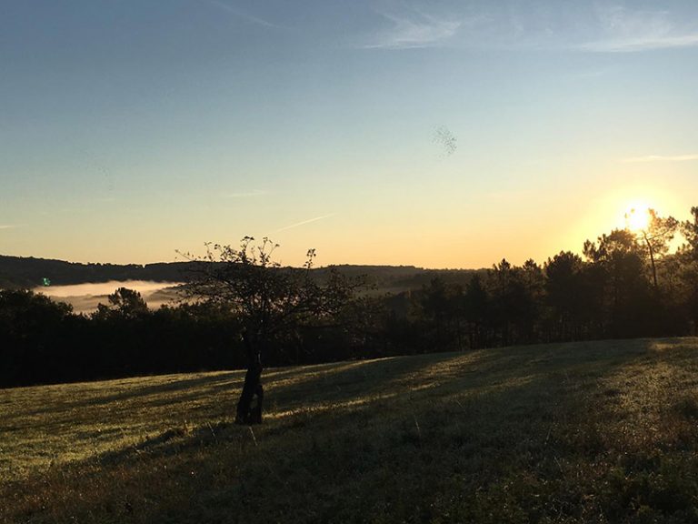 Paysage nature Sergeac Domaine des Grands Bois